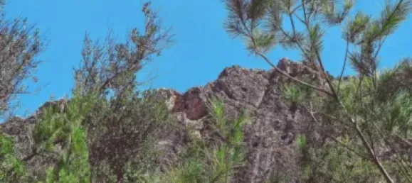 Casa T3 em Roquetes, Spain N.º 173252 26