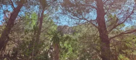 Casa T3 em Roquetes, Spain N.º 173252 24