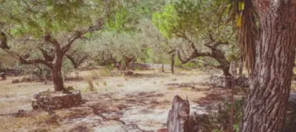 Casa T3 em Roquetes, Spain N.º 173252 2