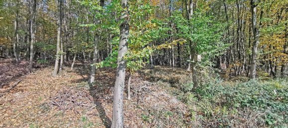 4 rooms House in Mauerbach, Austria No. 143573 8