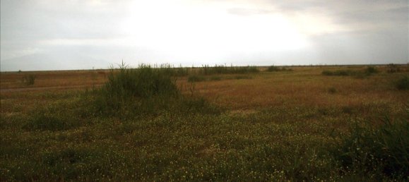 10000m² Hotel in Thessaloniki, Greece No. 7410 2