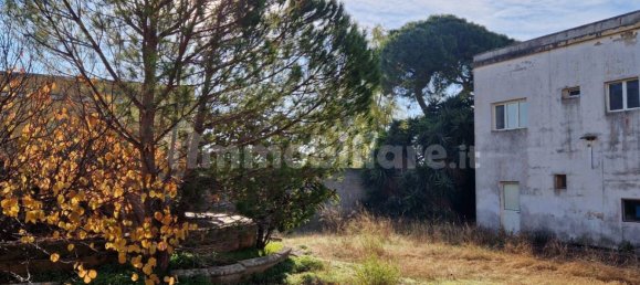 5 rooms Building in Tuglie, Italy No. 104554 3