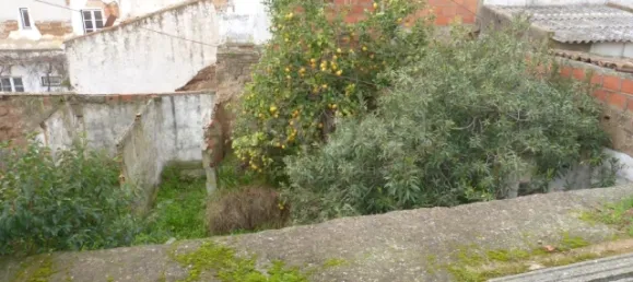 2 bedrooms House in Ervidel, Portugal No. 31223 11