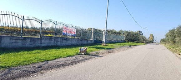 قطعة أرض في Cerignola, Italy 18500متر مربع رقم 177234 7