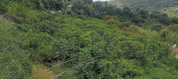 10000m² Land in Estepona, Spain No. 135138 2