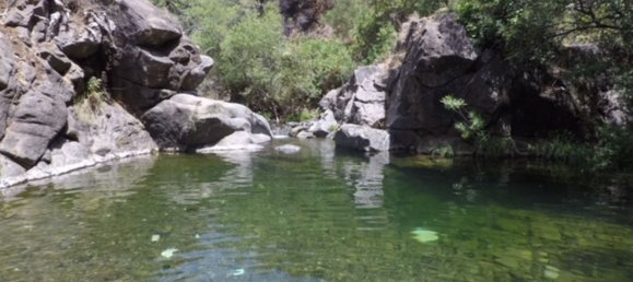 10000m² Land in Estepona, Spain No. 135138 5