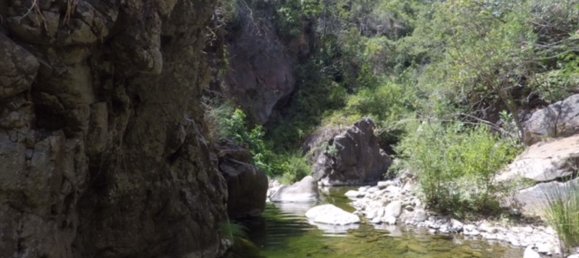 10000m² Land in Estepona, Spain No. 135138 4