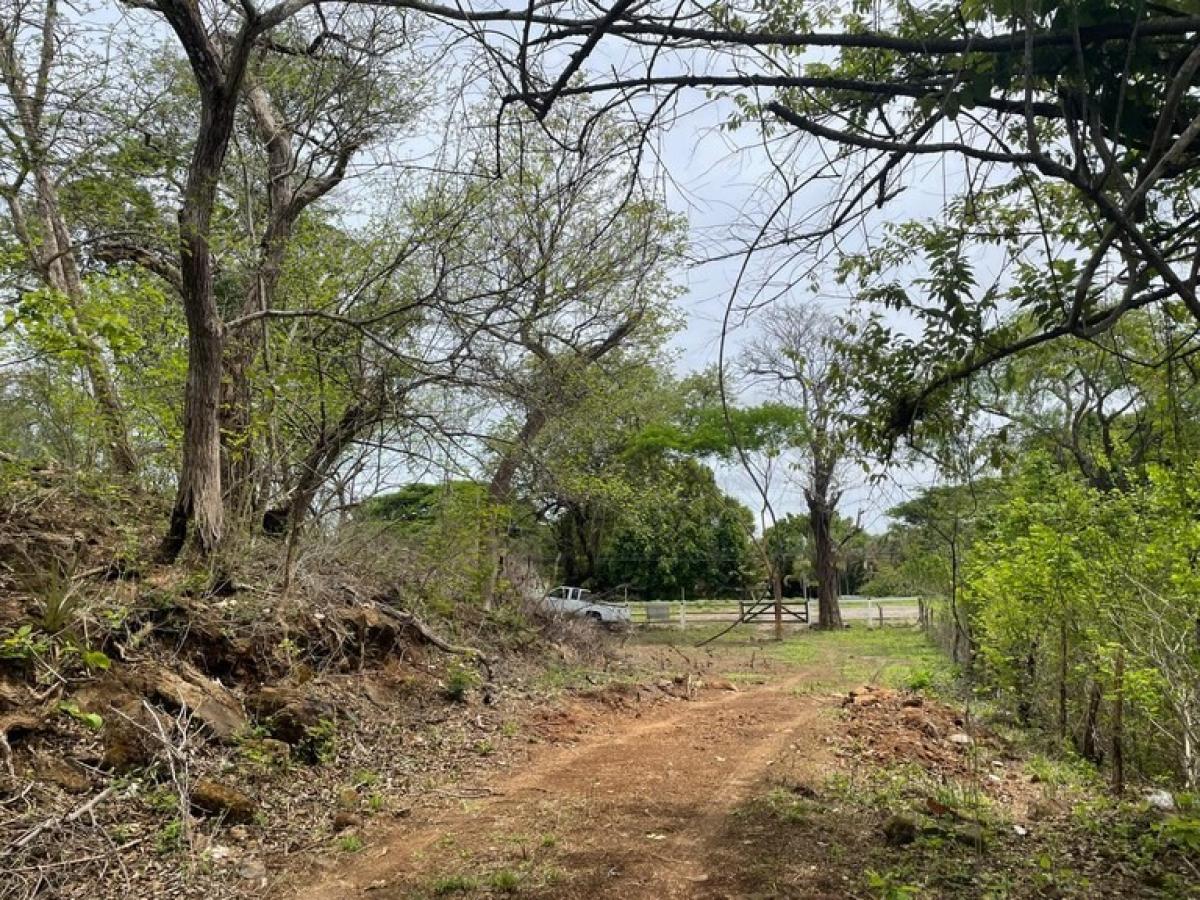  Land in Liberia, Costa Rica No. 1753