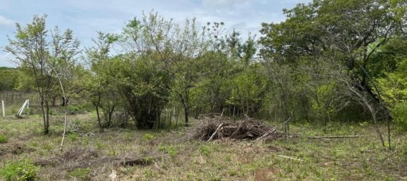 Land in Liberia, Costa Rica No. 1753 5