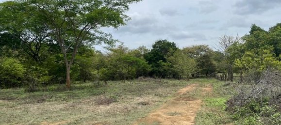 Land in Liberia, Costa Rica No. 1753 2