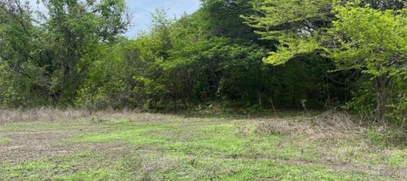 Land in Liberia, Costa Rica No. 1753 6