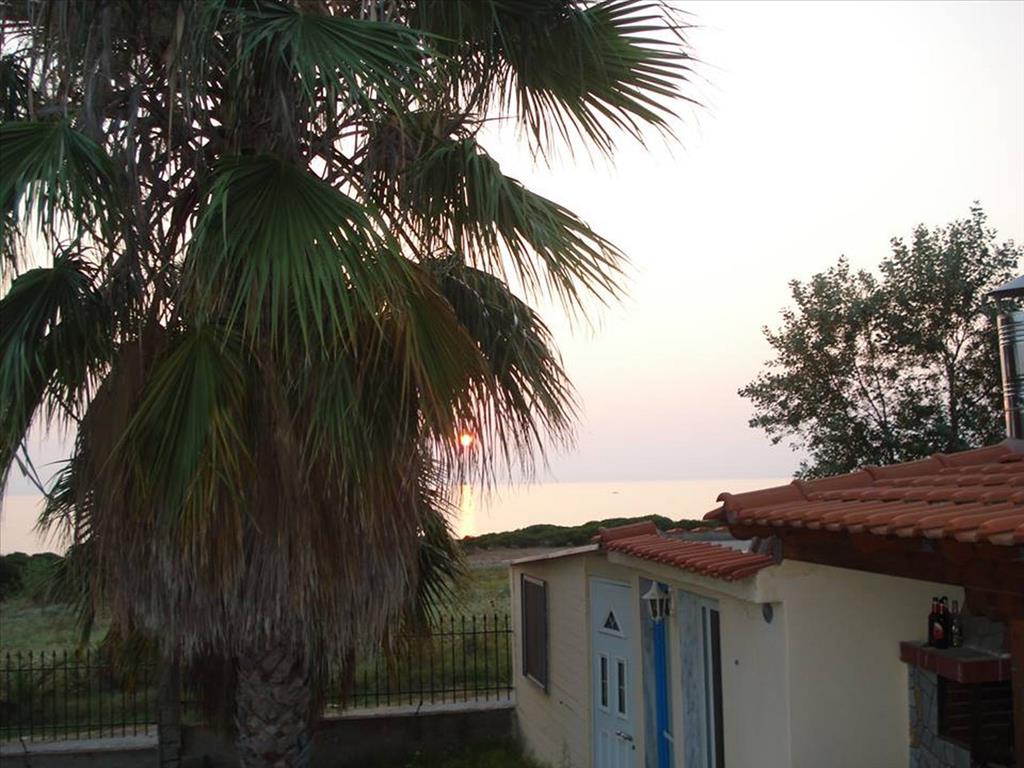3 غرف نوم عقار تجاري في Chalkidiki, Greece رقم 56538