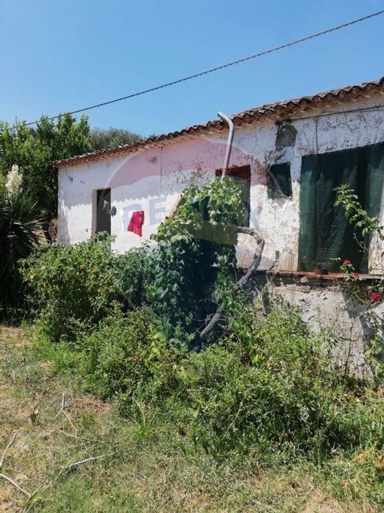 3 bedrooms House in Abrantes, Portugal No. 24984