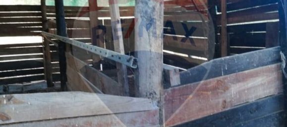 3 bedrooms House in Abrantes, Portugal No. 24984 5