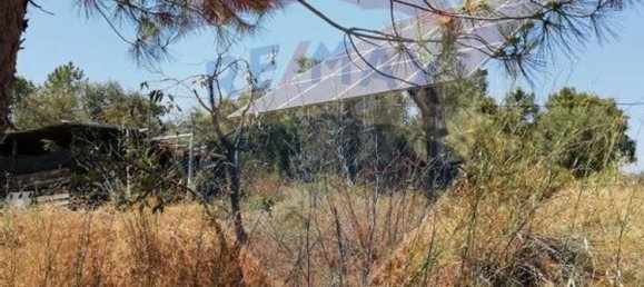 3 bedrooms House in Abrantes, Portugal No. 24984 8