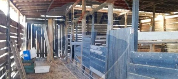 3 bedrooms House in Abrantes, Portugal No. 24984 4