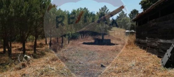 3 bedrooms House in Abrantes, Portugal No. 24984 7