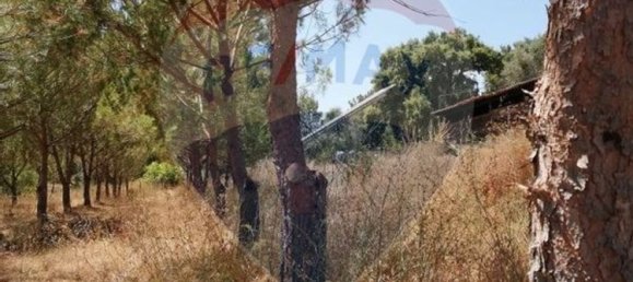 3 bedrooms House in Abrantes, Portugal No. 24984 9