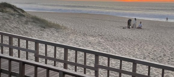 2 bedrooms Castles in Grandola, Portugal No. 132884 33