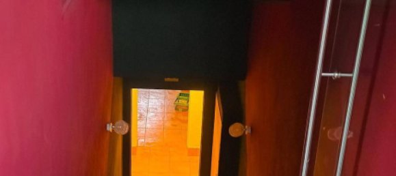 5 rooms Bungalow in Zwentendorf an der Donau, Austria No. 219779 43