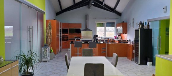 5 rooms Bungalow in Zwentendorf an der Donau, Austria No. 219779 28