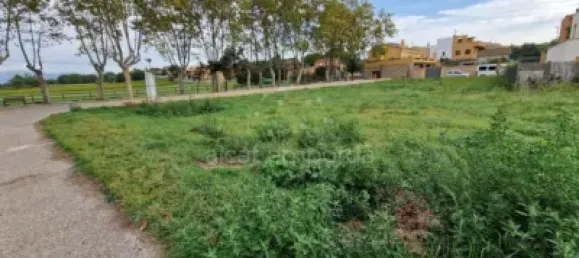  Land in Garriguella, Spain No. 73542 11