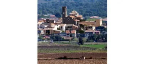  Land in Garriguella, Spain No. 73542 19