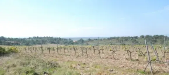  Land in Garriguella, Spain No. 73542 13