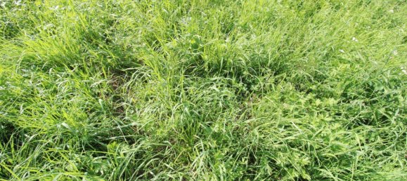 Terreno en Pregarten, Austria 3689 m² No. 251070 5