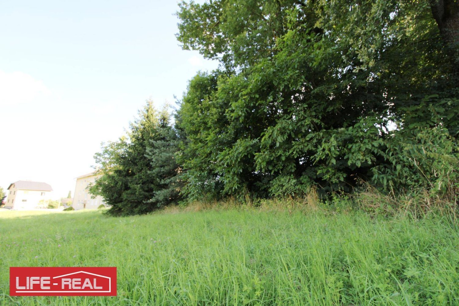 Terreno en Pregarten, Austria 3689 m² No. 251070