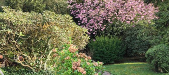 Дом с 6 комнатами в Рейн-Зиг, Германия № 159652 10