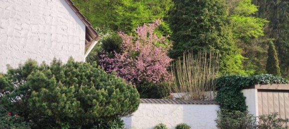 Дом с 6 комнатами в Рейн-Зиг, Германия № 159652 5