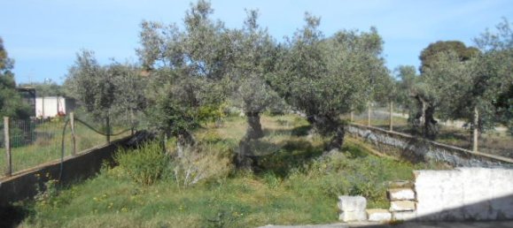 Дом с 3 комнатами в Кастельветрано, Италия № 126932 9