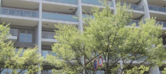 3 Schlafzimmer Wohnung in Fukuoka, Japan, Nr. 3694 2