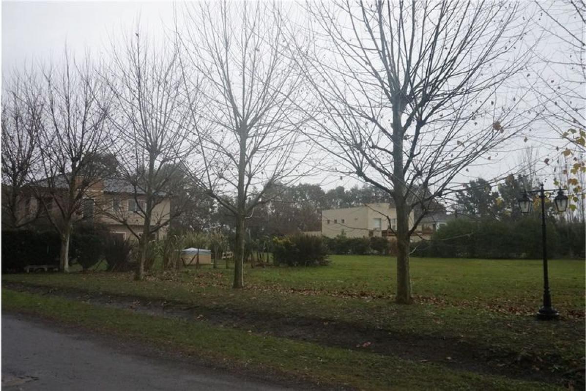  Land in Buenos Aires, Argentina No. 116143