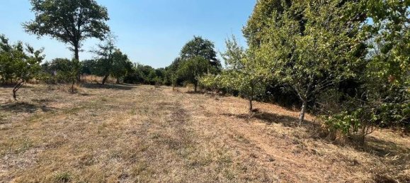 3 Schlafzimmer Haus in Creuse, France, Nr. 335658 6