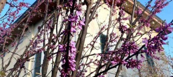 Villa de 9 divisões em Podenzano, Italy N.º 24465 46