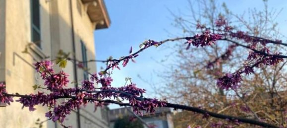 Villa de 9 divisões em Podenzano, Italy N.º 24465 48