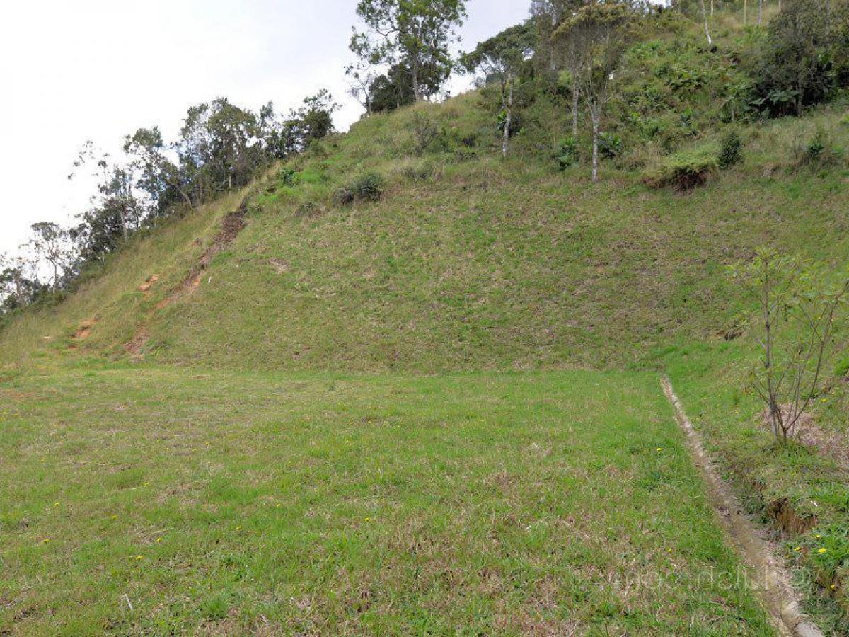 Terrain à Antioquia, Colombia No. 122