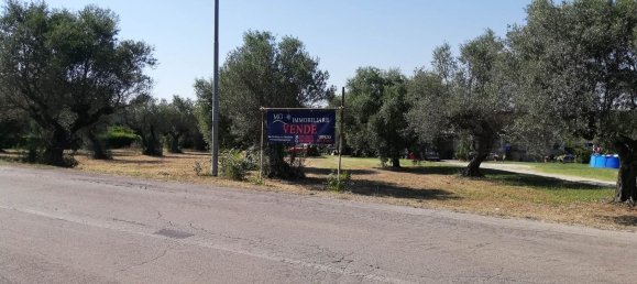 Grundstück in Pianella, Italy 4249m², Nr. 104511 9