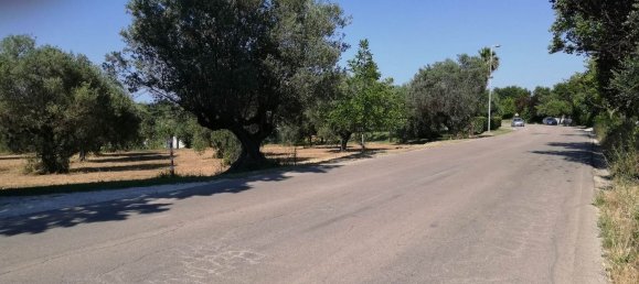 Grundstück in Pianella, Italy 4249m², Nr. 104511 11