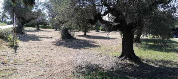 Grundstück in Pianella, Italy 4249m², Nr. 104511 8