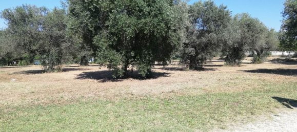 Grundstück in Pianella, Italy 4249m², Nr. 104511 4