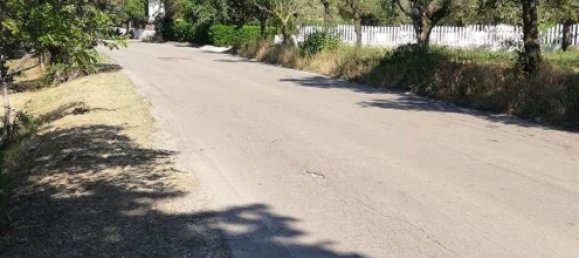 Grundstück in Pianella, Italy 4249m², Nr. 104511 16