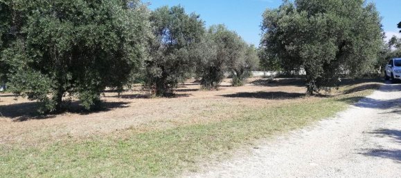 Grundstück in Pianella, Italy 4249m², Nr. 104511 5