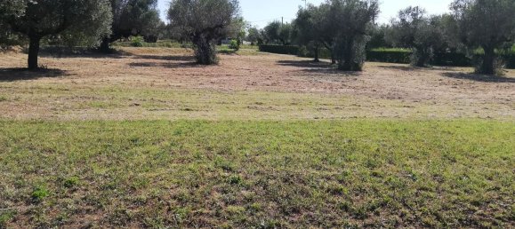 Grundstück in Pianella, Italy 4249m², Nr. 104511 3