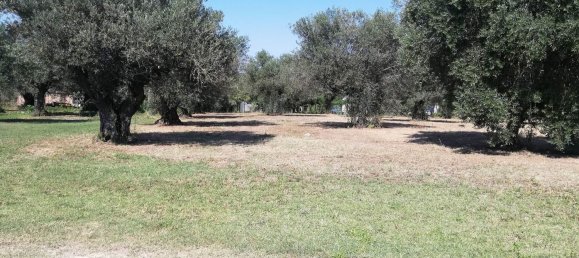 Grundstück in Pianella, Italy 4249m², Nr. 104511 6