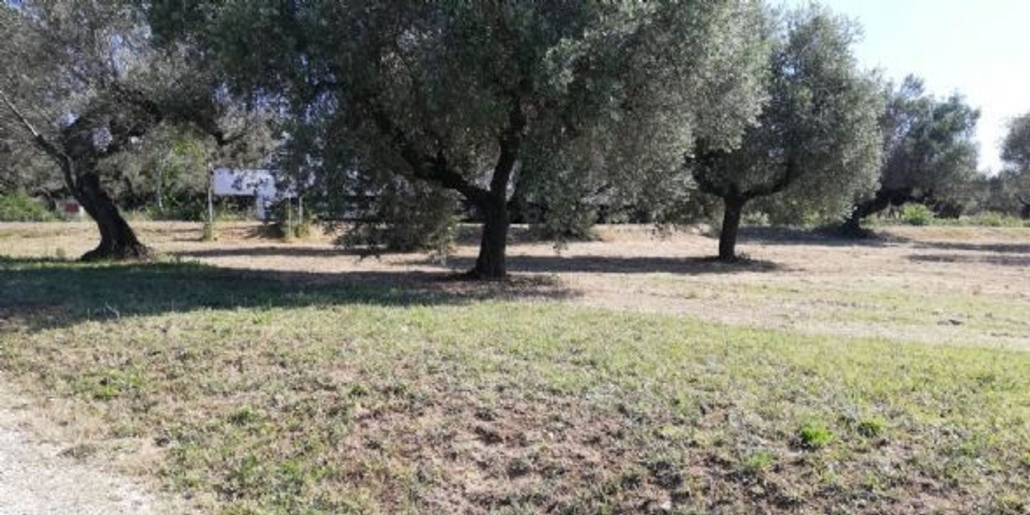 Grundstück in Pianella, Italy 4249m², Nr. 104511