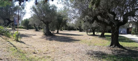 Grundstück in Pianella, Italy 4249m², Nr. 104511 12