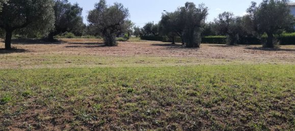 Grundstück in Pianella, Italy 4249m², Nr. 104511 2